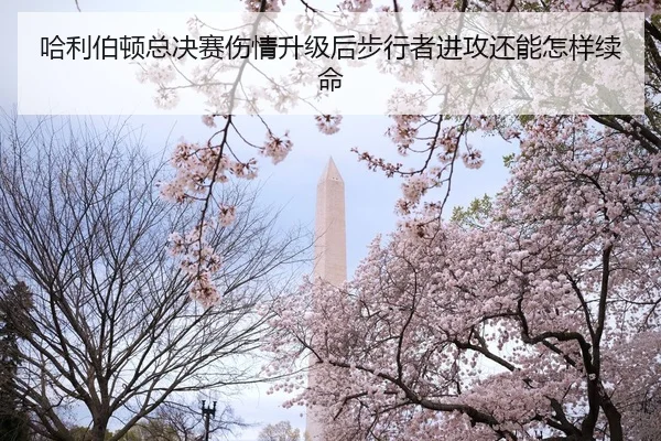 哈利伯顿总决赛伤情升级后步行者进攻还能怎样续命