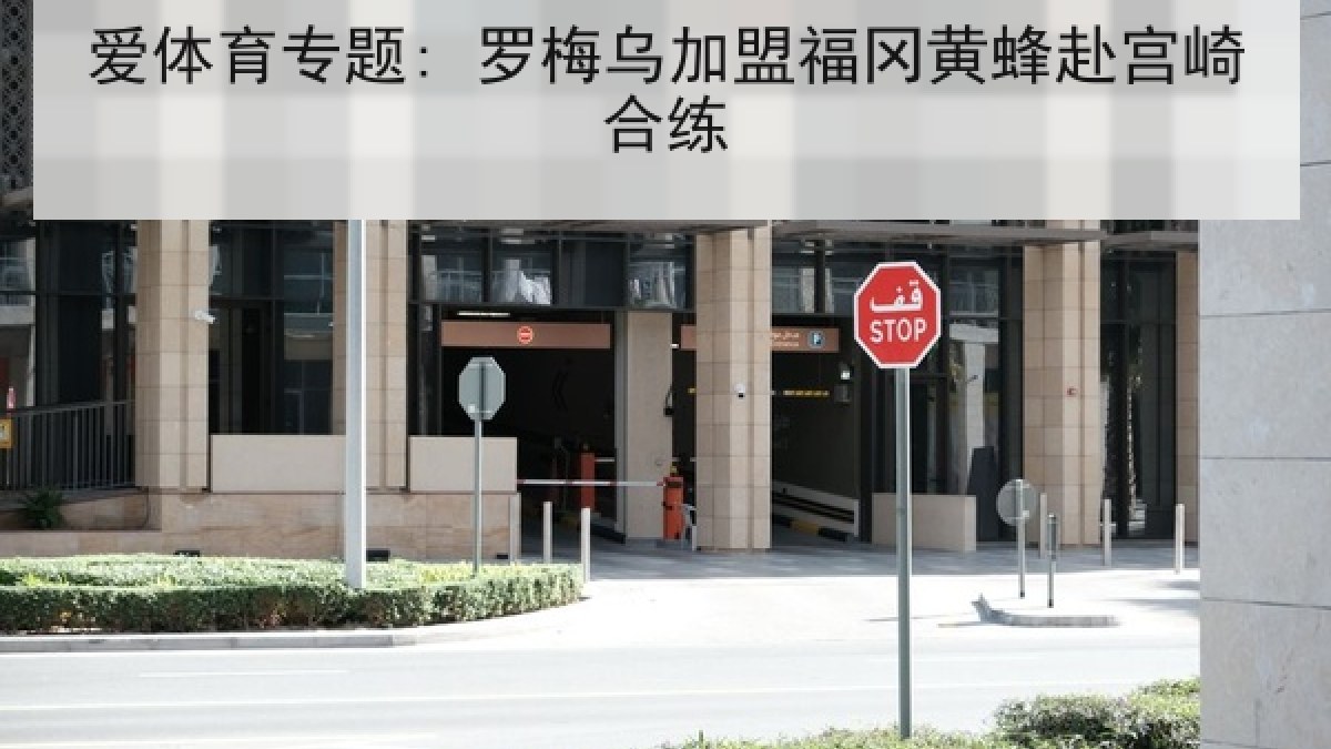 爱体育专题: 罗梅乌加盟福冈黄蜂赴宫崎合练